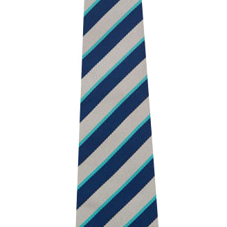 Hook Junior School House Colour Clip On Tie