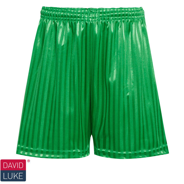 Shadow Stripe Sports Shorts - Emerald Green