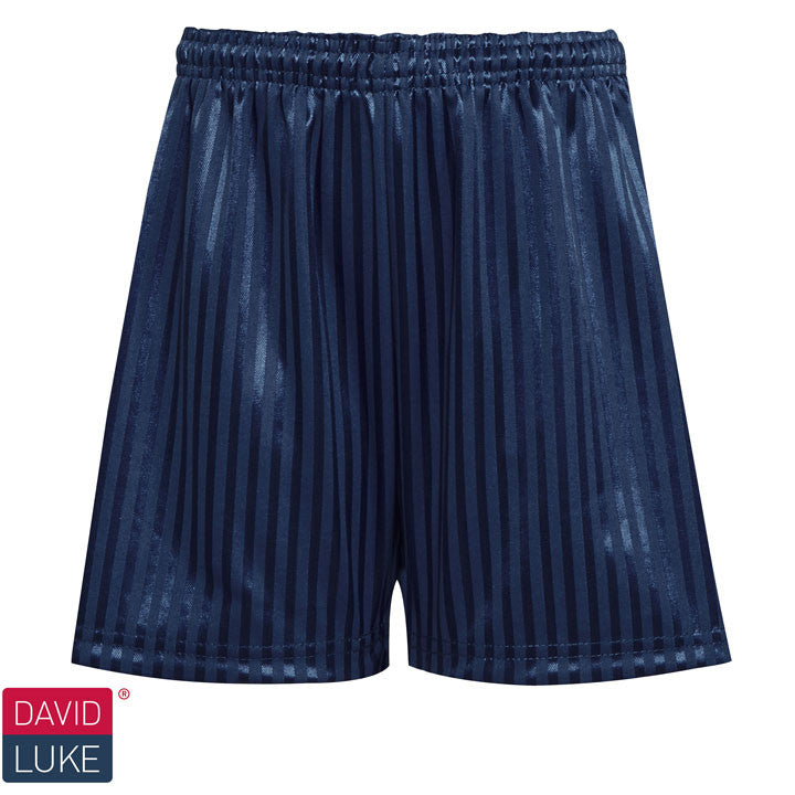 Shadow Stripe Sports Shorts - Navy