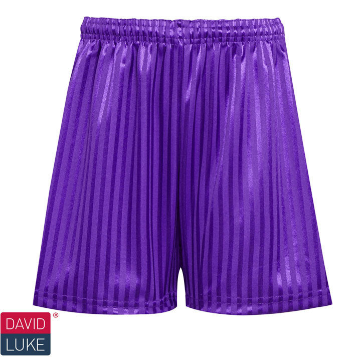 Shadow Stripe Sports Shorts - Purple