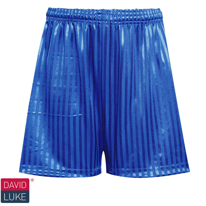 Shadow Stripe Sports Shorts - Royal